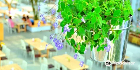 香草菲菲 芳香植物博物館