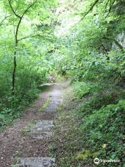 La Source de la Marne