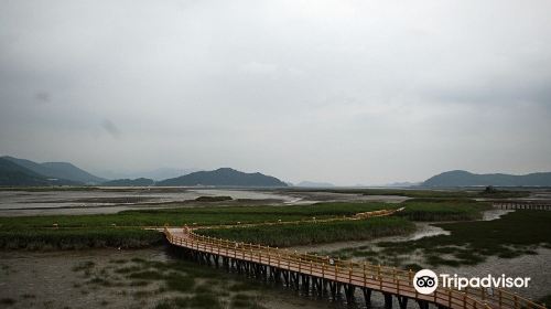 Gangjin Bay Ecological Park
