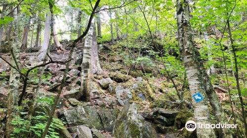 Hunt Lake Hiking Trail