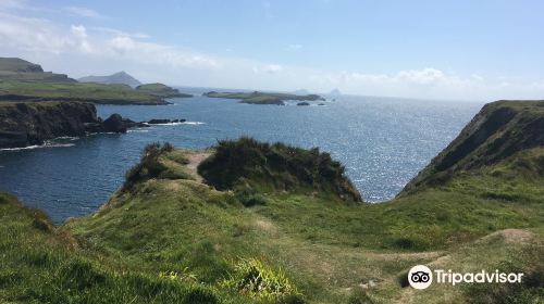 Bray Head