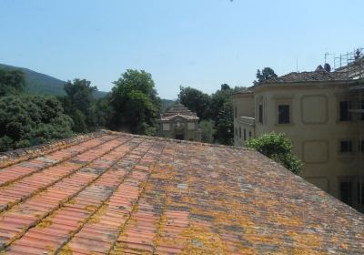 Fattoria di Celle - Collezione Gori