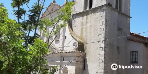 Collegiata di San Lorenzo