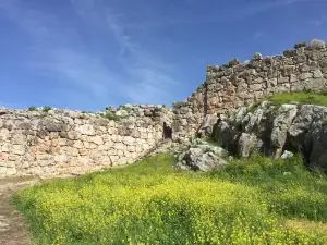 Mycenean Acropolis of Tiryns