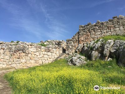 Mycenean Acropolis of Tiryns
