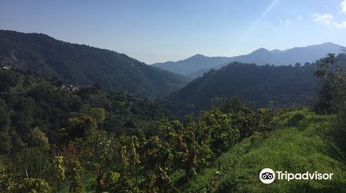 Riserva Naturale Orientata Fiumedinisi e Monte Scuderi