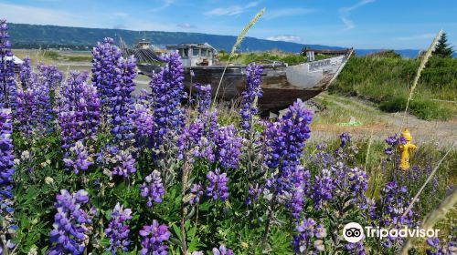 Alaska Islands and Ocean Visitor Center