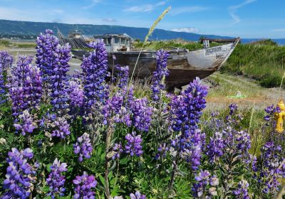 Alaska Maritime National Wildlife Refuge Visitor Center (Islands & Ocean)