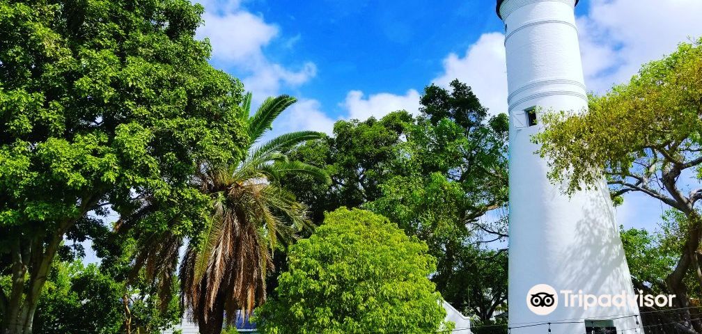 Cayo HuesoTours de un día