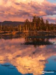 Skagit Wildlife Area-Wiley Slough