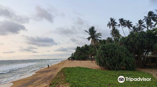 Kalutara Beach