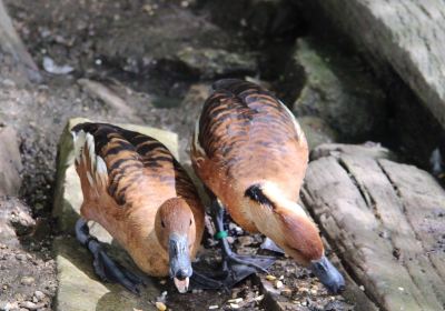 Oasi Naturalistica le Fonti Del Vascello