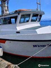 Wind Rose Charters