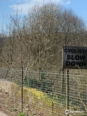 Plym Valley Cycle Trail