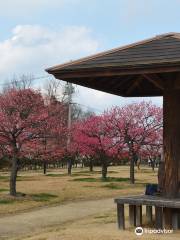 Kanzaki Ryokuchi Park