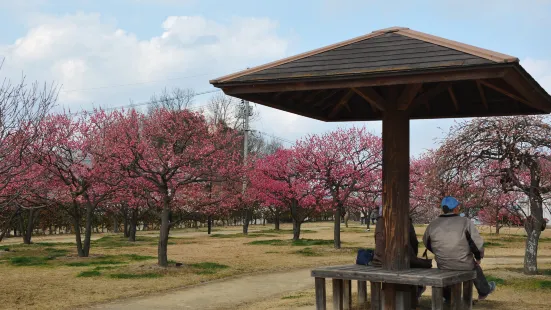 Kanzaki Ryokuchi Park