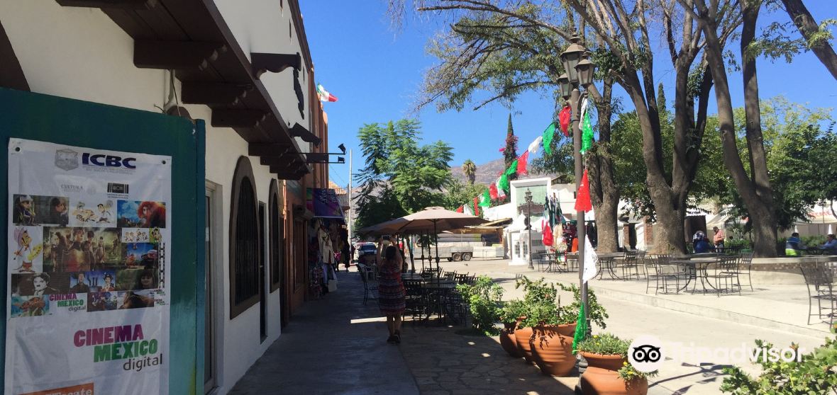 Things to Do in Tecate in 2024 Top Attractions, Local Food, Hotels & Travel Tips