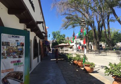 Tecate