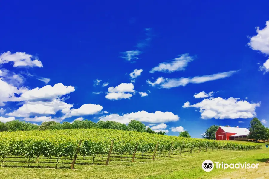 Robin Hill Farm and Vineyards