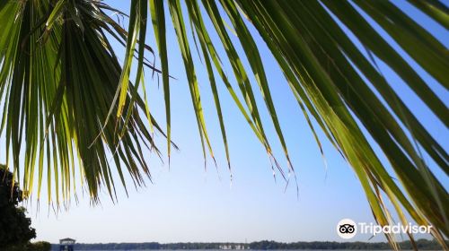 Barracuda Beach