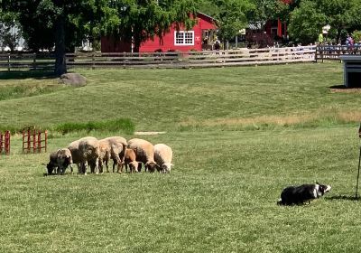 Lake Metroparks Farmpark