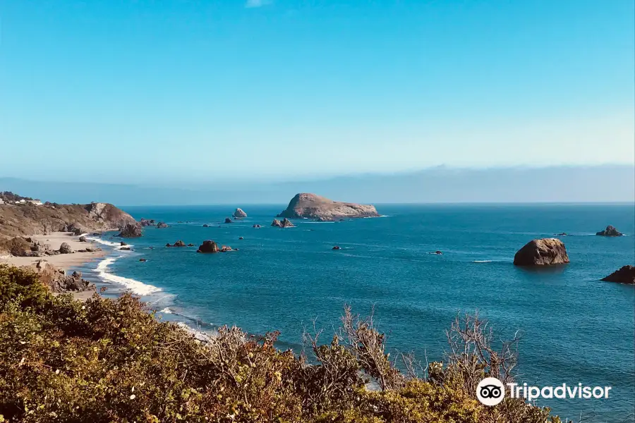 Lone Ranch Beach