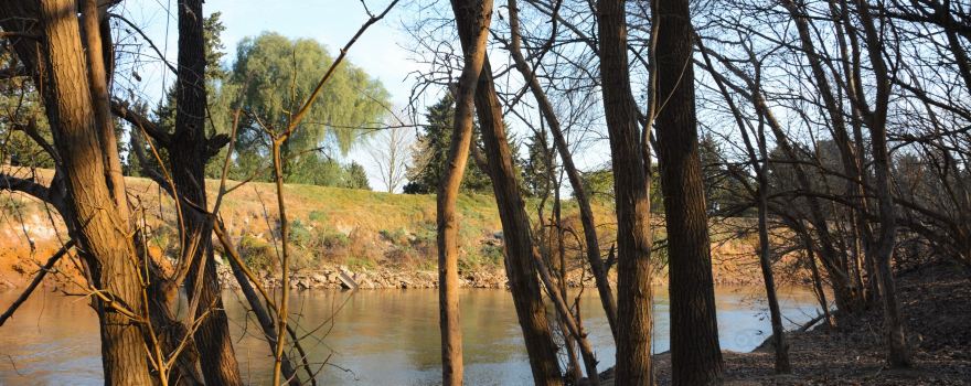 Francisco Tau Park