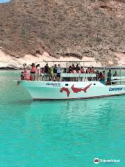 Baja Diving & Service