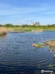 Greenwich Peninsula Ecology Park - TCV