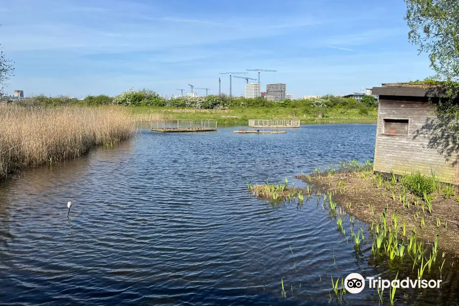 格林威治半島生態公園