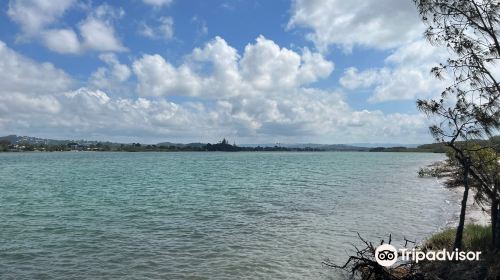 Maroochy River Conservation Park