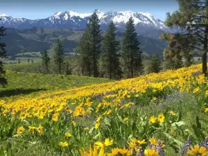 Refuge River Ranch