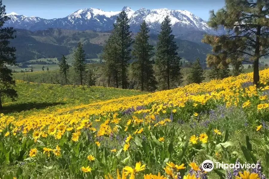 Refuge River Ranch