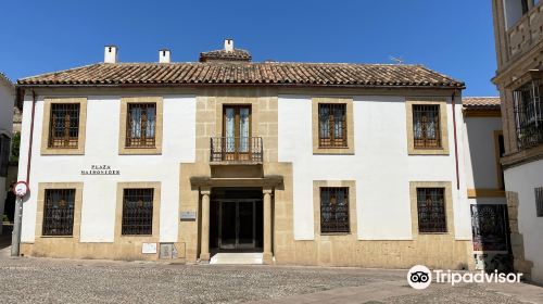 Museo Municipal Taurino