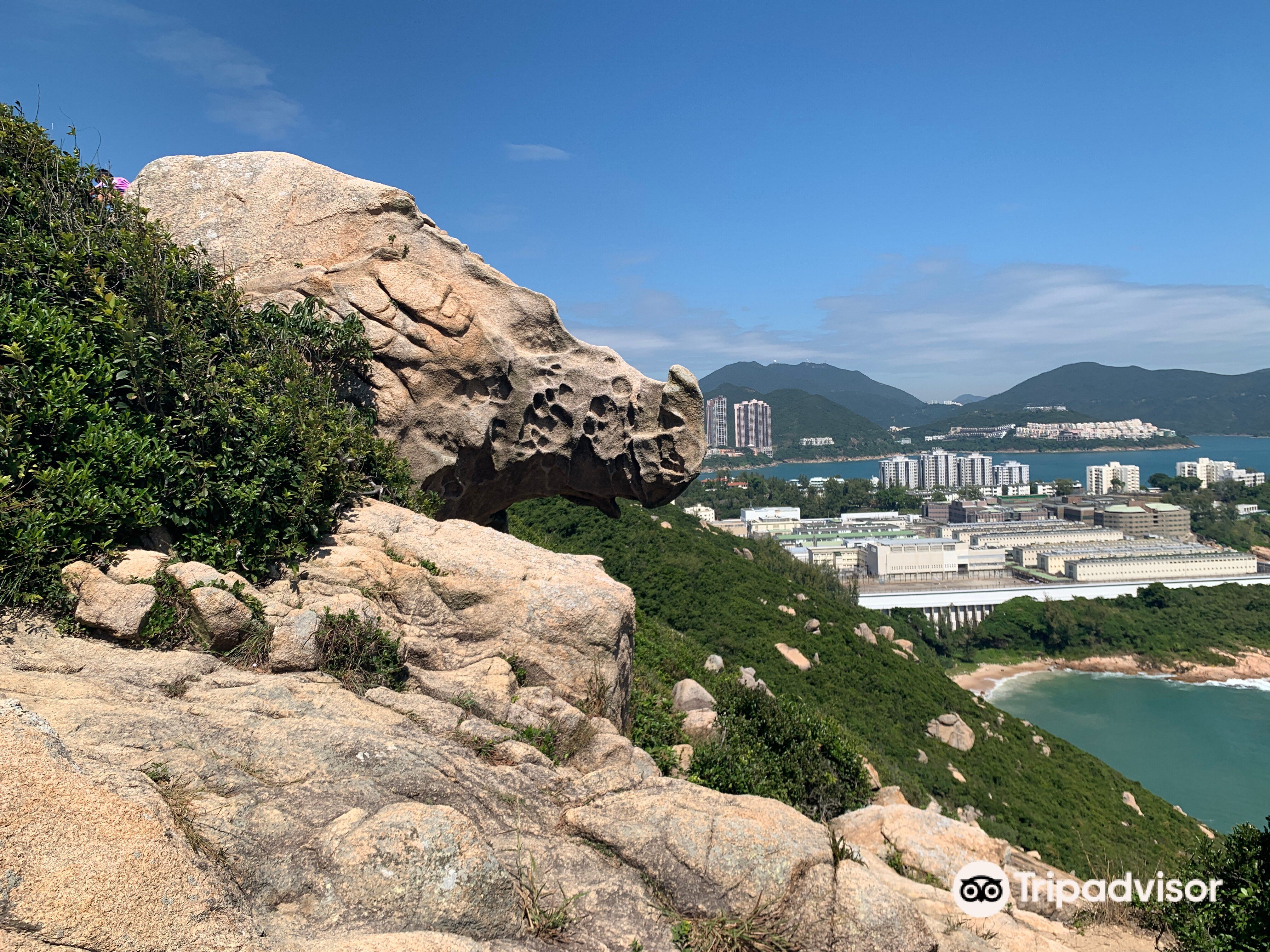 Che Pau Teng Rhino Rock Opening Hours, Reviews & Photos [2024