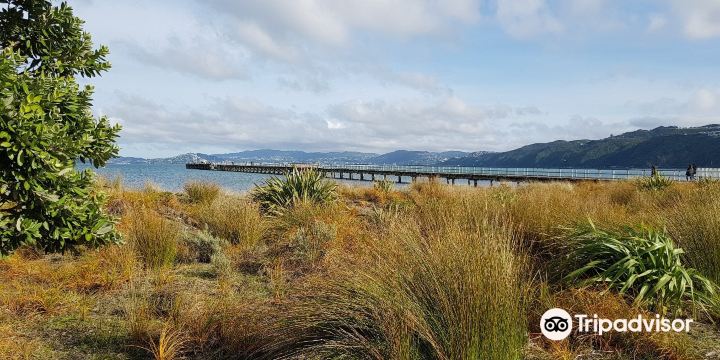 Petone Foreshore