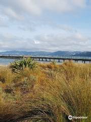 Petone Foreshore