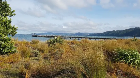 Petone Foreshore