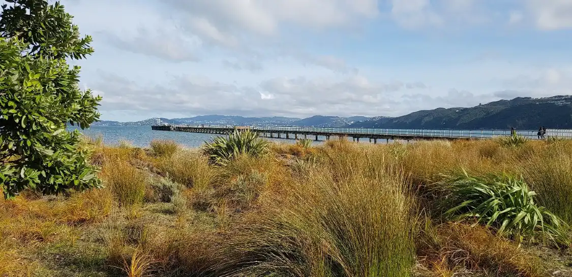 Hotels near Petone Foreshore