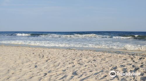 Robert Moses State Park