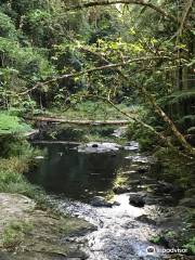 Conondale National Park