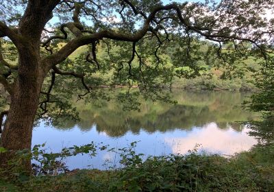 Lliw Reservoir