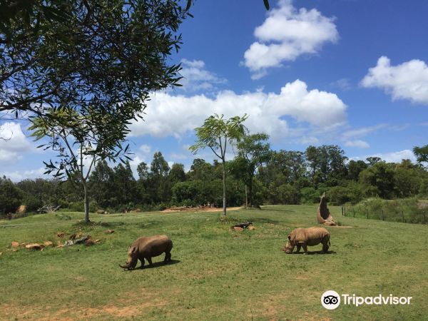 Australia Zoo