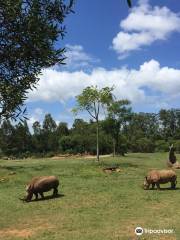 Zoológico de Australia