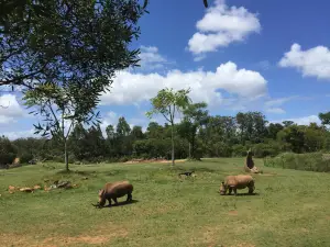 Zoológico de Australia