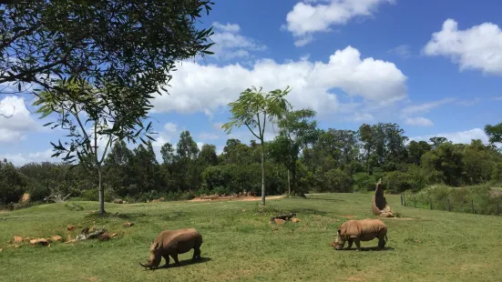 澳大利亞動物園