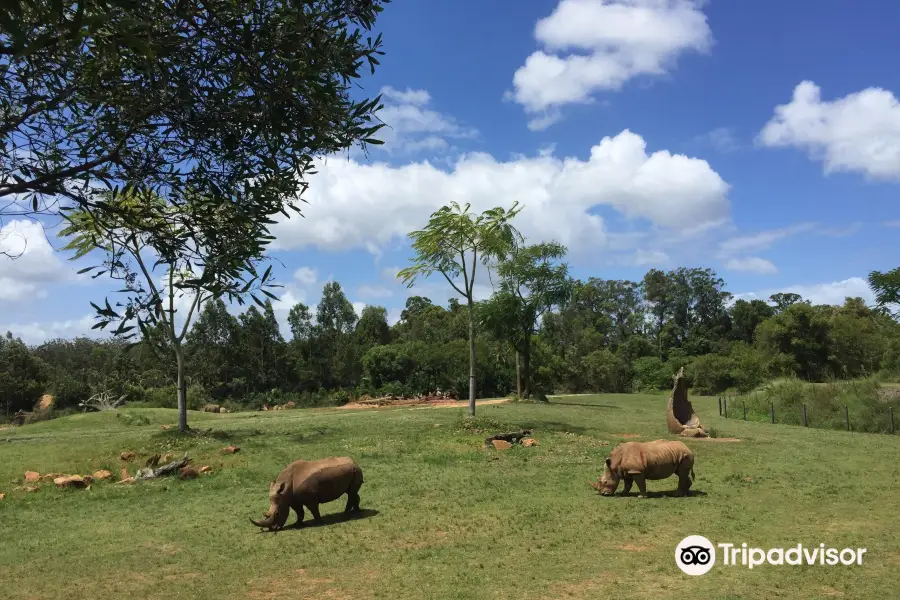 オーストラリア動物園