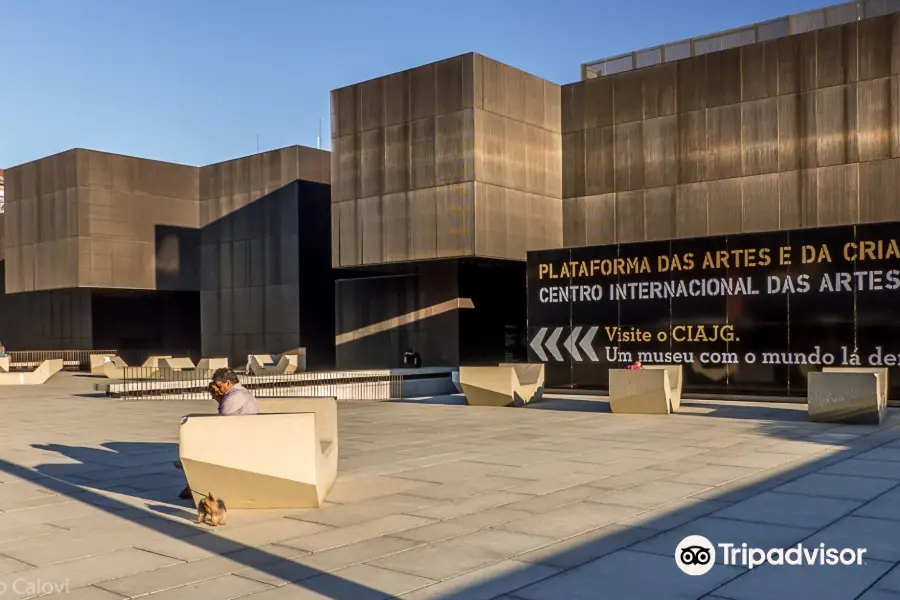 Centro Internacional das Artes Jose Guimaraes