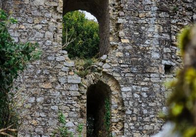 Château de Domfront