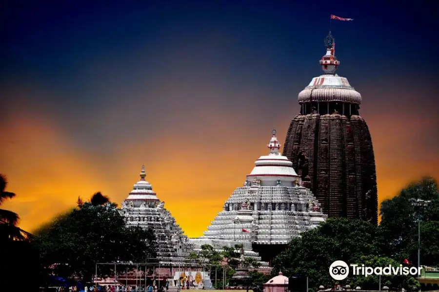 Shree Jagannatha Temple Puri